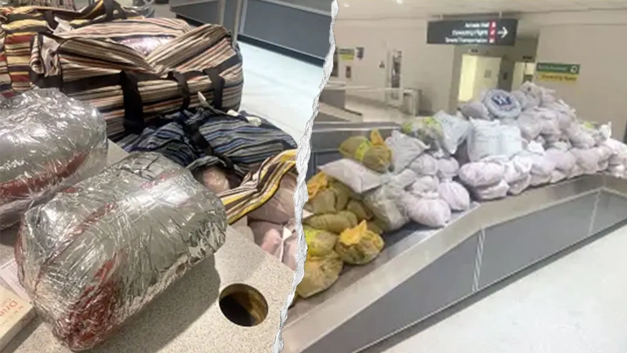 CBP Gagalkan Penyelundupan Khat 847 Pon dari London, Koper Penumpang Penuh Daun Ilegal