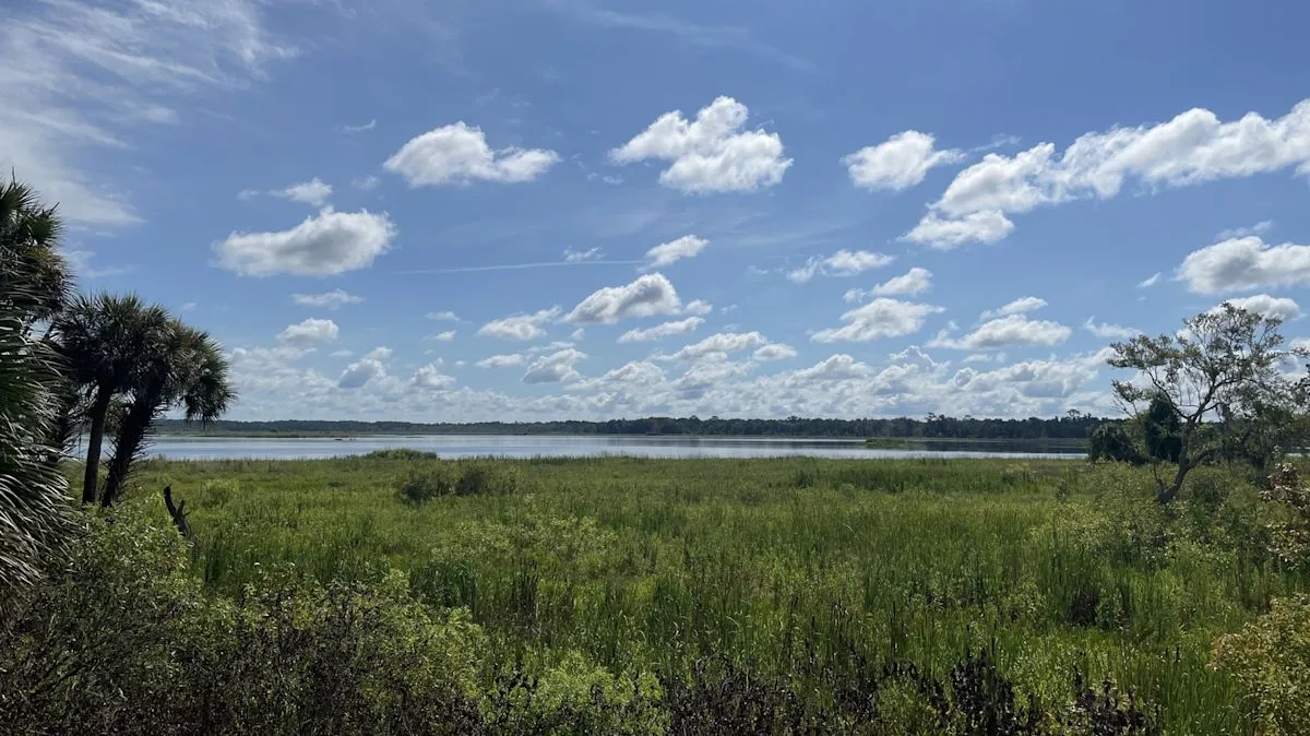 Keindahan alam Orange Creek Restoration Area di Florida tawarkan jalur hiking dan camping