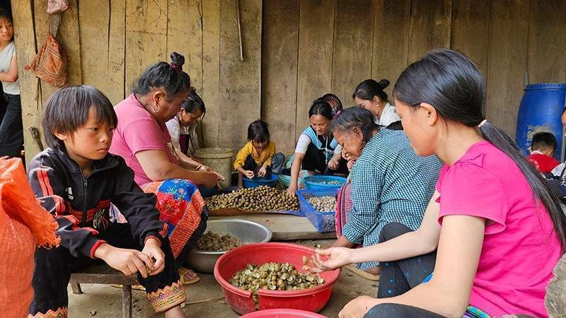 Kondisi kawasan pemukiman masyarakat etnis minoritas di daerah perbukitan.